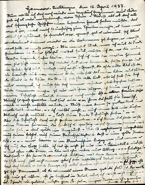 Die erste Seite aus dem braunen Buch. Man sieht ganz viel Text in kleinen Sütterlin Buchstaben